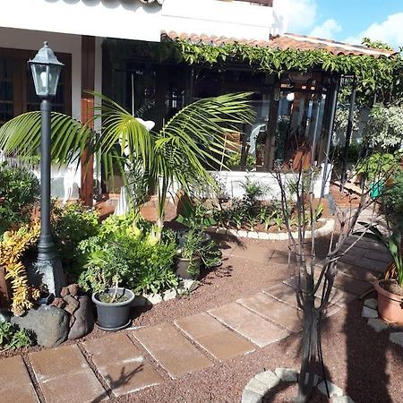 Apartamento Tranquilo En Una Casa Con Jardin La Laguna  Dış mekan fotoğraf