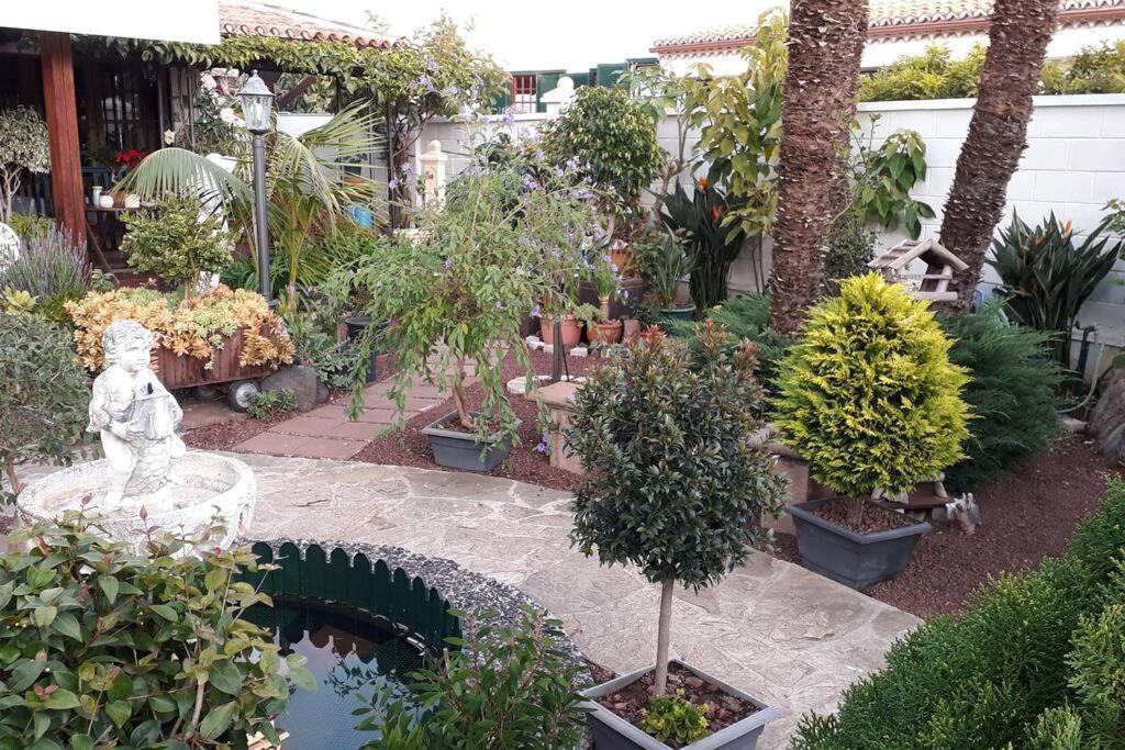 Apartamento Tranquilo En Una Casa Con Jardin La Laguna  Dış mekan fotoğraf